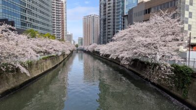 柔の形の稽古（場所：品川区立戸越体育館）